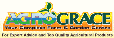 Agro Grace In  Kingston 11