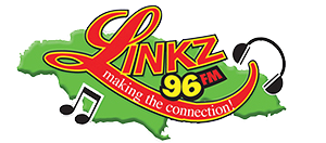linkzfm Logo
