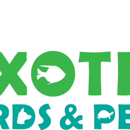 Exotic Birds and Pets Limited – contact number, location and logo