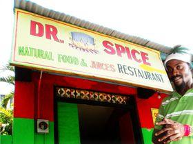 DR. SPICE NATURAL FOOD