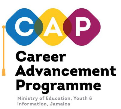 The Career Advancement Programme (CAP)