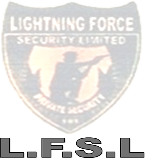 Lightning Force Security Limited