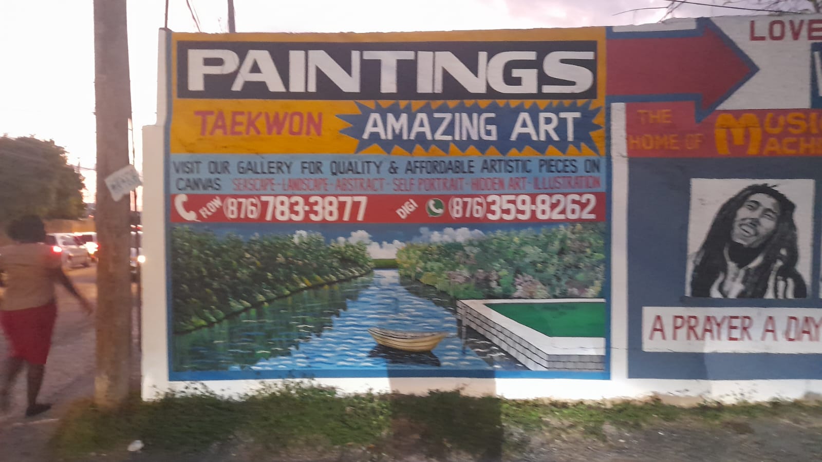 Taewon Amazing Arts – Jamaica Creative Painter